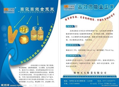 彩頁海報印刷