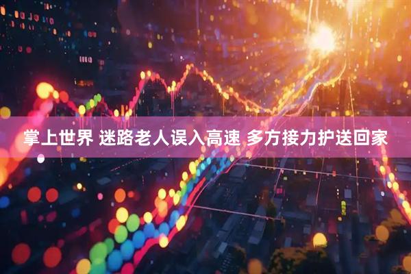 掌上世界 迷路老人误入高速 多方接力护送回家