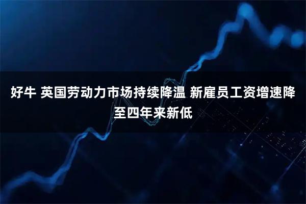 好牛 英国劳动力市场持续降温 新雇员工资增速降至四年来新低