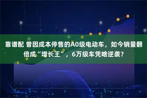 靠谱配 曾因成本停售的A0级电动车，如今销量翻倍成“增长王”，6万级车凭啥逆袭？