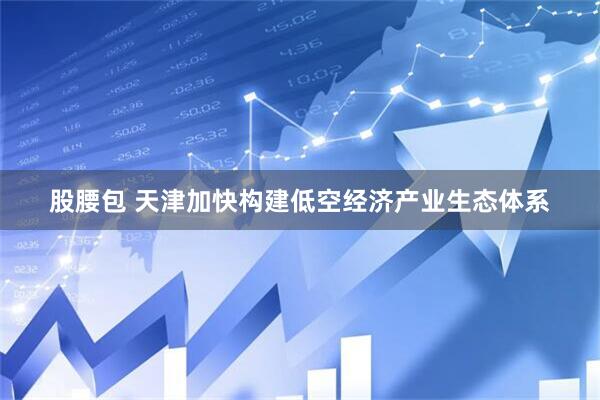 股腰包 天津加快构建低空经济产业生态体系