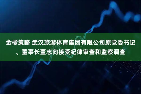 金橘策略 武汉旅游体育集团有限公司原党委书记、董事长董志向接受纪律审查和监察调查