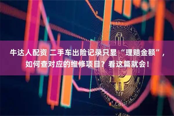 牛达人配资 二手车出险记录只显 “理赔金额”，如何查对应的维修项目？看这篇就会！